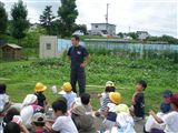 hashidume 7 29002.jpg