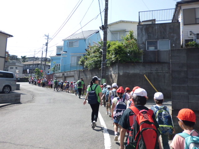 CIMG0265.JPG