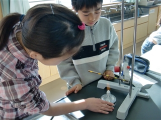 CIMG0085.jpg