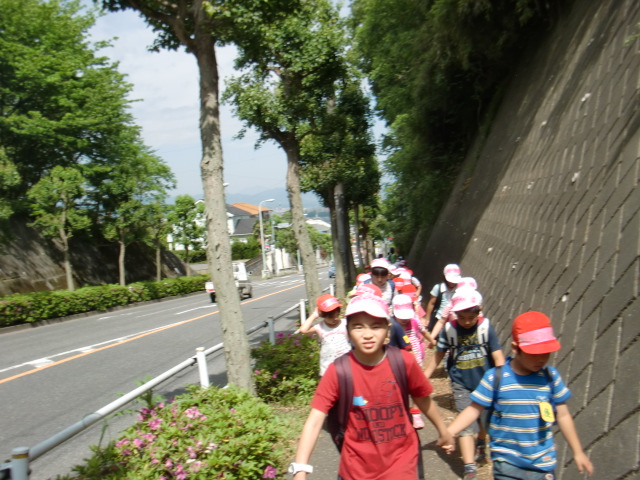 CIMG0552.JPG