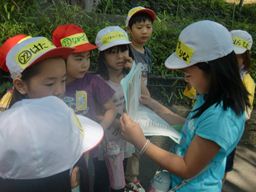 CIMG0811_R.JPG