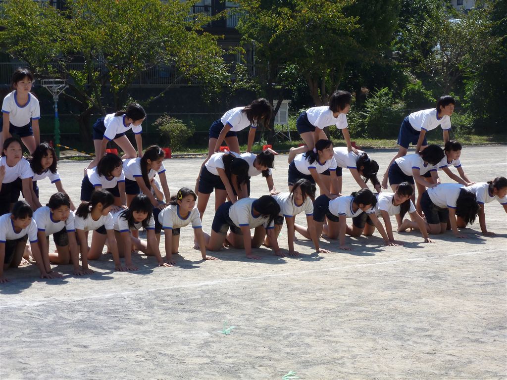 P1010082_H23_6nenn.jpg